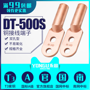 双孔铜鼻子DT-500平方双眼接线端子电缆堵油铜接头线耳永固金具