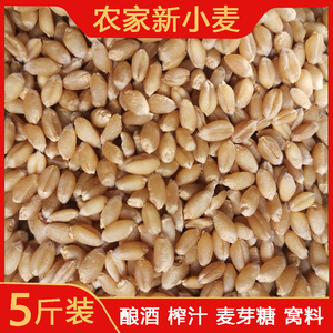 可粒钓鱼饵 可粒钓鱼饵品牌 价格 阿里巴巴 可粒钓鱼饵 可粒钓鱼饵品牌 价格 阿里巴巴