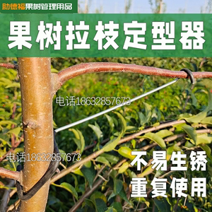 果树改进型拉枝器弯枝开角器弯枝器果树压枝定型器神器热镀锌加粗