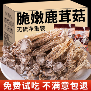 鹿茸菇干货云南土特产脆脆菇煲汤炒菜蘑菇野生菌官方旗舰店500g