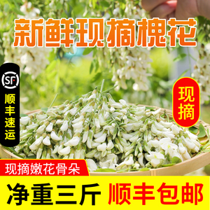 2024新鲜槐花现摘洋槐花槐米花骨朵3斤散装蔬菜野菜顺丰包邮