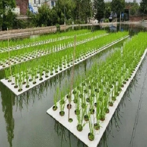 稻蔬菜种植浮板水培漂浮板水定植种菜湖面水池水槽种菜用漂浮板材