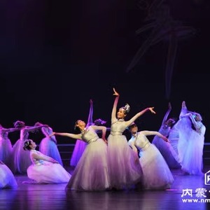马兰花群舞桃李杯舞蹈演出服装古典民族舞台表演服定做艺考