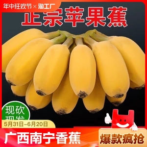 正宗广西苹果蕉新鲜水果9斤包当季整箱西贡芭蕉小米蕉粉蕉香蕉