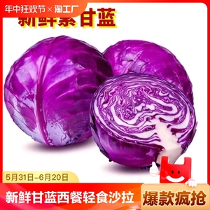 山东新鲜紫甘蓝紫包菜紫色球生菜红椰菜西餐蔬菜轻食沙拉食材包邮