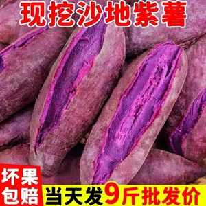 紫薯新鲜板栗红薯番薯地瓜蜜薯糖心10斤山芋烟薯蔬菜农家自种沙地