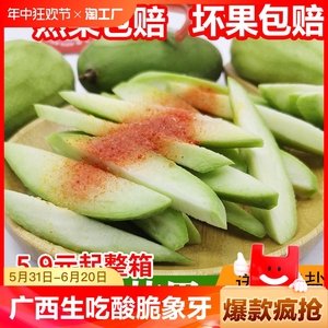 广西青芒果生吃酸脆腌象牙芒野当季孕妇水果新鲜整箱10斤酸芒果