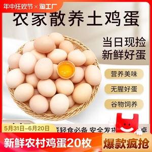 筱诺新鲜农村土鸡蛋6枚10枚20枚枚农家散养自养天然柴鸡蛋笨鸡蛋