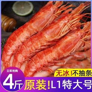 【GC】阿根廷红虾L1鲜活超大海虾特大红虾冷冻大虾速冻海鲜水产船
