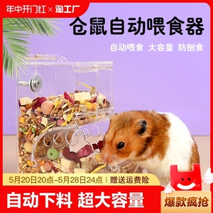 仓鼠喂食器食盆自动喂食兔子金丝熊粮食食盒大容量仓鼠用品大号