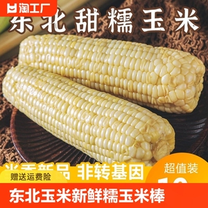 东北玉米新鲜糯玉米糯米粗粮甜糯10支粘玉米糯米棒真空锁鲜玉米