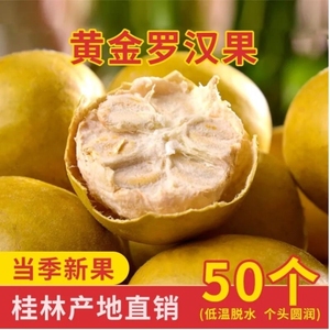 广西桂林脱水黄金罗汉果干果大果散装白肉泡水罗汉果茶小包装正品