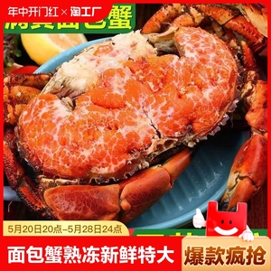 面包蟹熟冻新鲜鲜活特大超大珍宝蟹生冻熟食梭子蟹海鲜水产大螃蟹