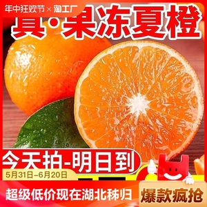 【超级低价】现在夏橙广西新鲜冰糖橙新鲜应季水果薄皮小橙子脐橙