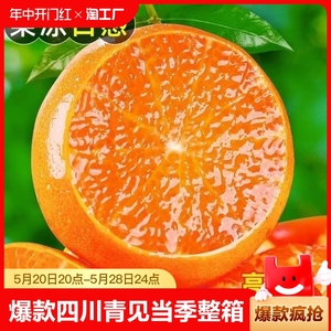四川青见爱媛果冻橙当季整箱新鲜桔子蜜橘孕妇水果果大果直发精选