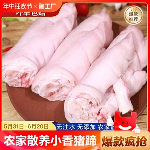 8只猪蹄整只带筋猪脚新鲜猪手前蹄后蹄整箱冷冻批发生猪肉生鲜4只