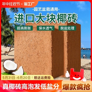 椰砖营养土养花种菜通用型大块多肉椰土壤椰糠粗椰壳种植种花爬宠