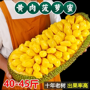 新鲜海南菠萝蜜黄肉干苞木树菠萝当季水果40-45斤整个三亚特产甜