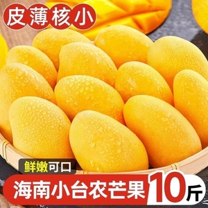 海南小台农芒果10斤新鲜小台芒热带水果特产5包邮大果精品现摘