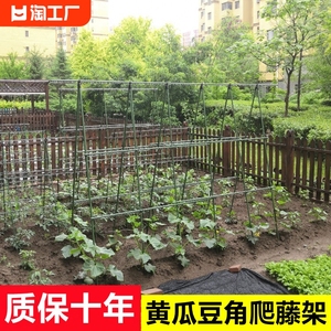黄瓜爬藤架架杆西红柿架种菜蔬菜爬架搭棚子架子种植箱包塑园艺
