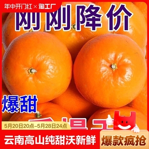 云南高山纯甜沃柑1000g±100g/份新鲜当季水果橘子蜜桔砂糖