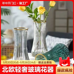 北欧轻奢玻璃花瓶鲜花插花富贵竹水培桌面摆件床头卧室客厅玄关
