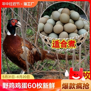 野鸡蛋60枚新鲜七彩山鸡蛋40枚正宗农家散养土鸡蛋15枚农村柴鸡蛋