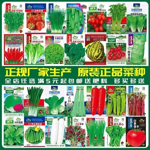 蔬菜种子四季播盆栽阳台庭院辣椒番茄甜瓜黄瓜简单秋易种籽孑大全
