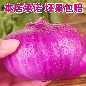 新鲜紫皮洋葱农家自种生吃紫皮扁头洋葱当季现挖脆甜河南圆葱5斤