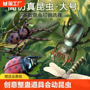 蜘蛛道具的昆虫模型儿童蜜蜂甲虫蚂蚱蜢动物玩具独角仙仿真软胶