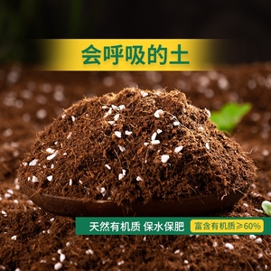 营养土养花专用通用型多肉花土种花种菜家用有机土壤花泥天然疏松