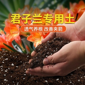 君子兰专用土兰花通用型营养土盆栽花卉有机土壤养花泥土肥料疏松