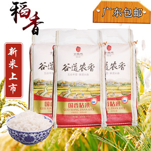 金胜晖谷道农香国香粘米10kg20斤米食堂专用大米灿米一级广东包邮