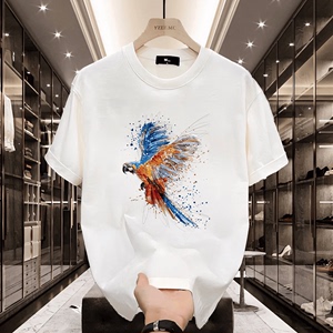 彩色鹦鹉图案印花短袖个性好看的T恤夏季纯棉上衣男女同款宽松潮