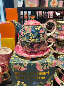 【澳洲直邮】T2代购新款骨瓷子母款茶壶茶杯套装下午茶茶具送礼物