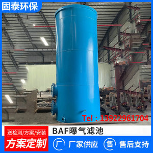 BAF曝气生物滤池城市污水处理设备厌氧塔 储罐IC内循环厌氧罐