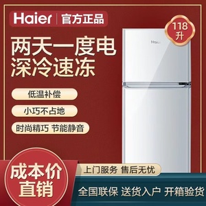 Haier/海尔 BCD-118TMPA两门电冰箱小型家用租房省电冷藏冷冻118L