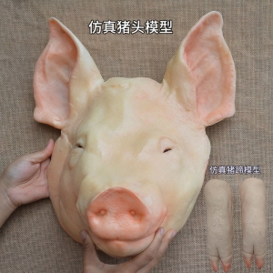 仿真猪头模型 祭祀猪头模型猪头模型 生猪蹄模型 生牛头羊头模型
