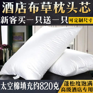 单人枕头枕芯五星级酒店宾馆民宿专用纯棉床上用品加大号特价长沙