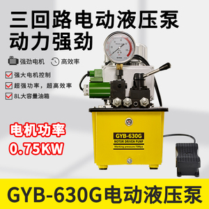 超高压GYB-630G电动泵液压机三回路电磁阀液压油泵 带脚踏式控制