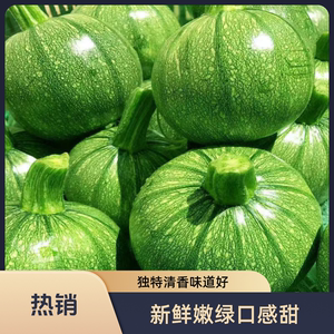 贵州嫩南瓜新鲜小南瓜整箱西葫芦圆形青皮南瓜绿皮当季农家蔬菜