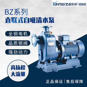上海鑫泰洲BZ自吸加强泵离心循环380V工业灌溉抽水加压农业大流量