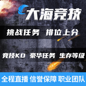 绝地求生/PUBG代练竞技排位上分陪玩机房刷KD打KDA代肝奖牌徽章