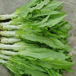 农家新鲜莴笋绿色蔬菜食用农产品时令火锅重庆产地直销5斤青莴苣