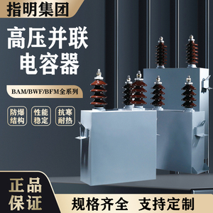 高压并联电容器BAM BFM11√3-334-1W 200-1W 100-1W 三相电机补偿