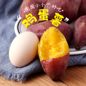 鸡蛋薯 新鲜红薯临安天目山小香薯5斤农家板栗山芋小番薯地瓜软糯