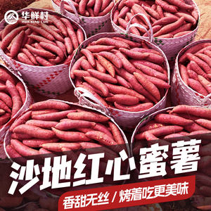 福建六鳌红蜜薯新鲜农家自种小红薯沙地地瓜红皮红心番薯农产品