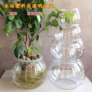 .培透明塑料花瓶 水养植物花盆水培植物固定容器 绿萝圆形高透盆.