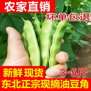 2024年东北新鲜绿油豆角小油豆角黄金勾豆角一点红大宽油豆角