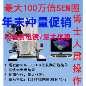 SEM扫描电镜测试服务 电镜扫描测样 电子显微镜分析 EDS检测服务